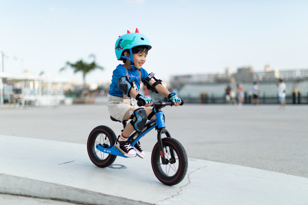 Micro Helmet 3D Scootersaurus